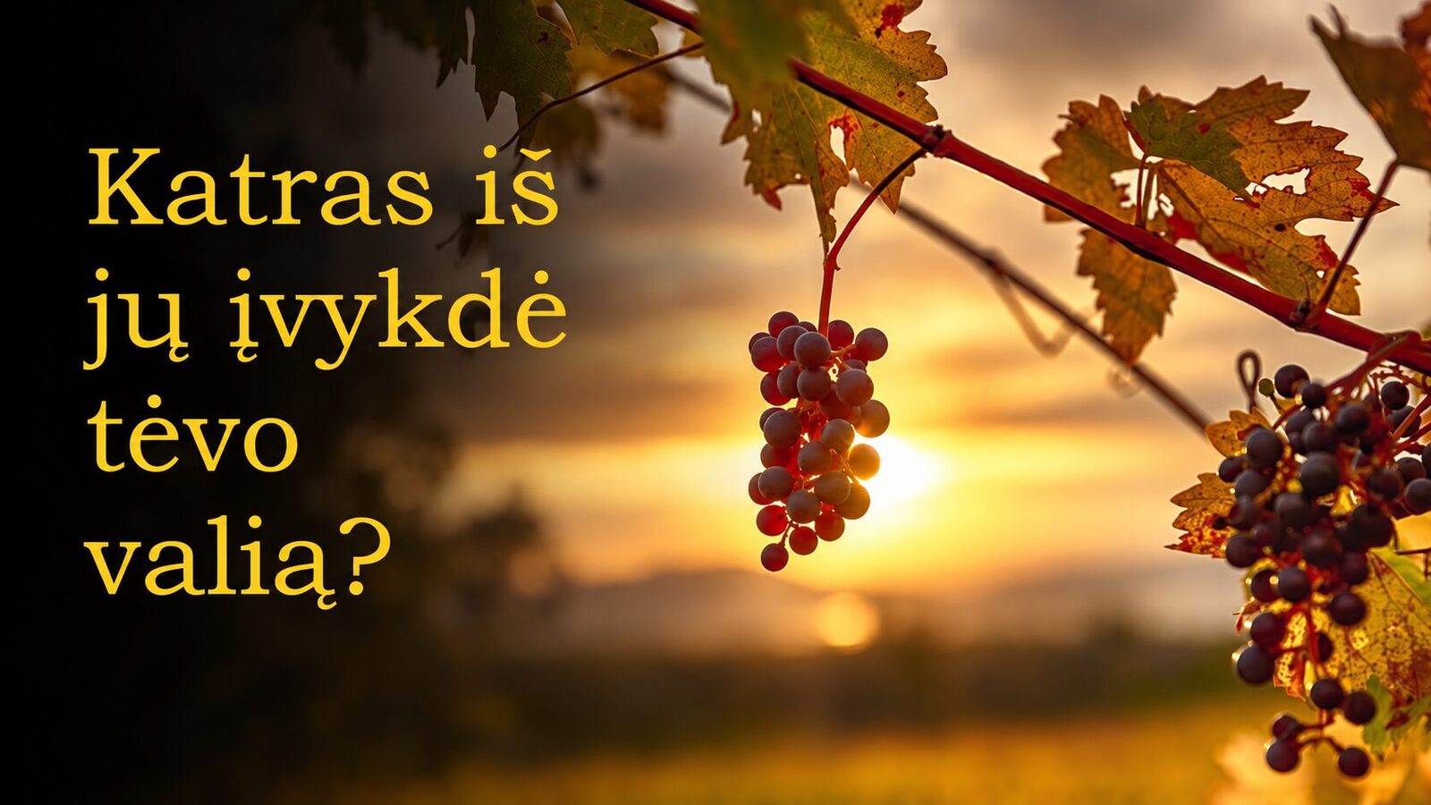 Šią savaitę Bažnyčia švenčia: