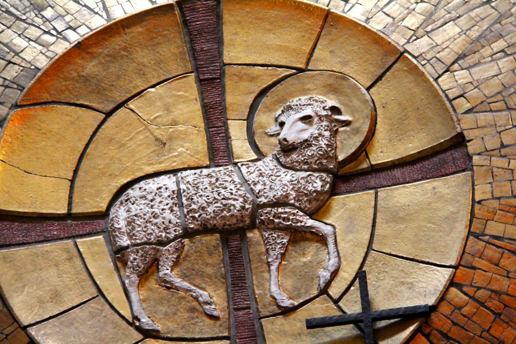 cordero-1024x683.jpg