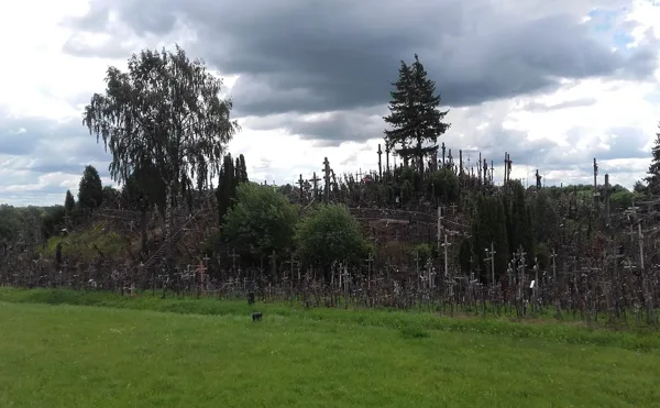 2016. Piligrimystė į Kryžių kalną